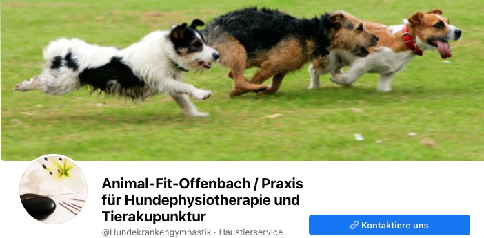 Animal Fit Offenbach