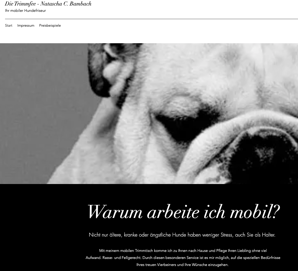 Die Trimmfee der mobile Hundefriseur in Frankfurt