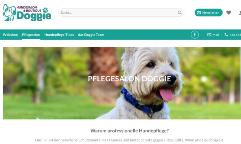 Doggie Hundesalon & Boutique in Klagenfurt 3 doggie pflegesalon 768x459