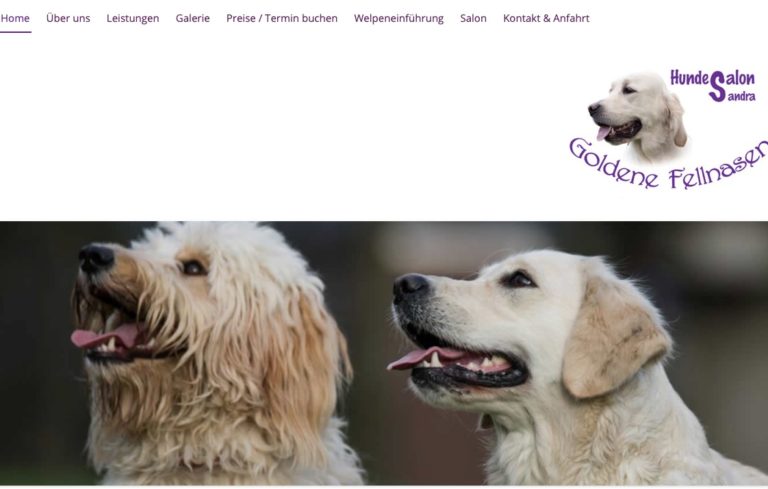 goldene fellnase hp 768x489