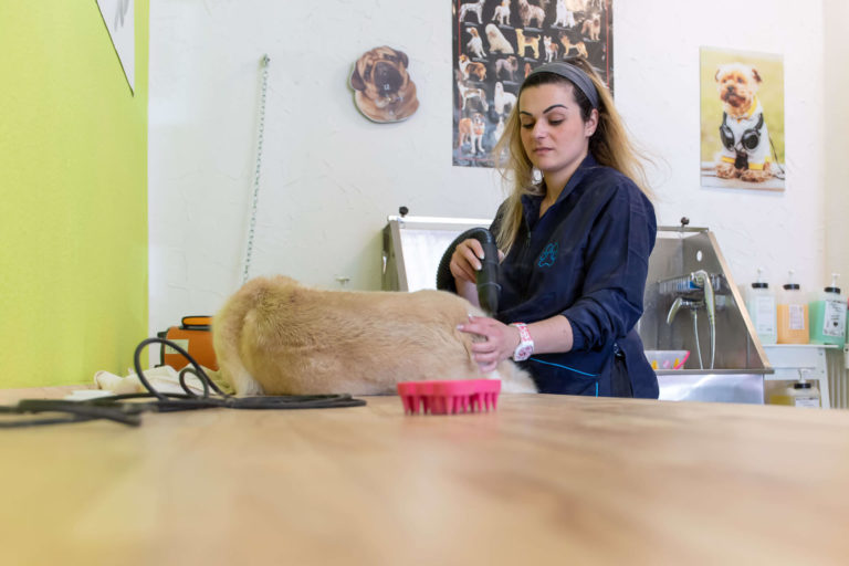 5cbb7f98bdb2f sc 768x512