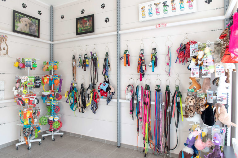 5cbf72b9aae7e 768x512