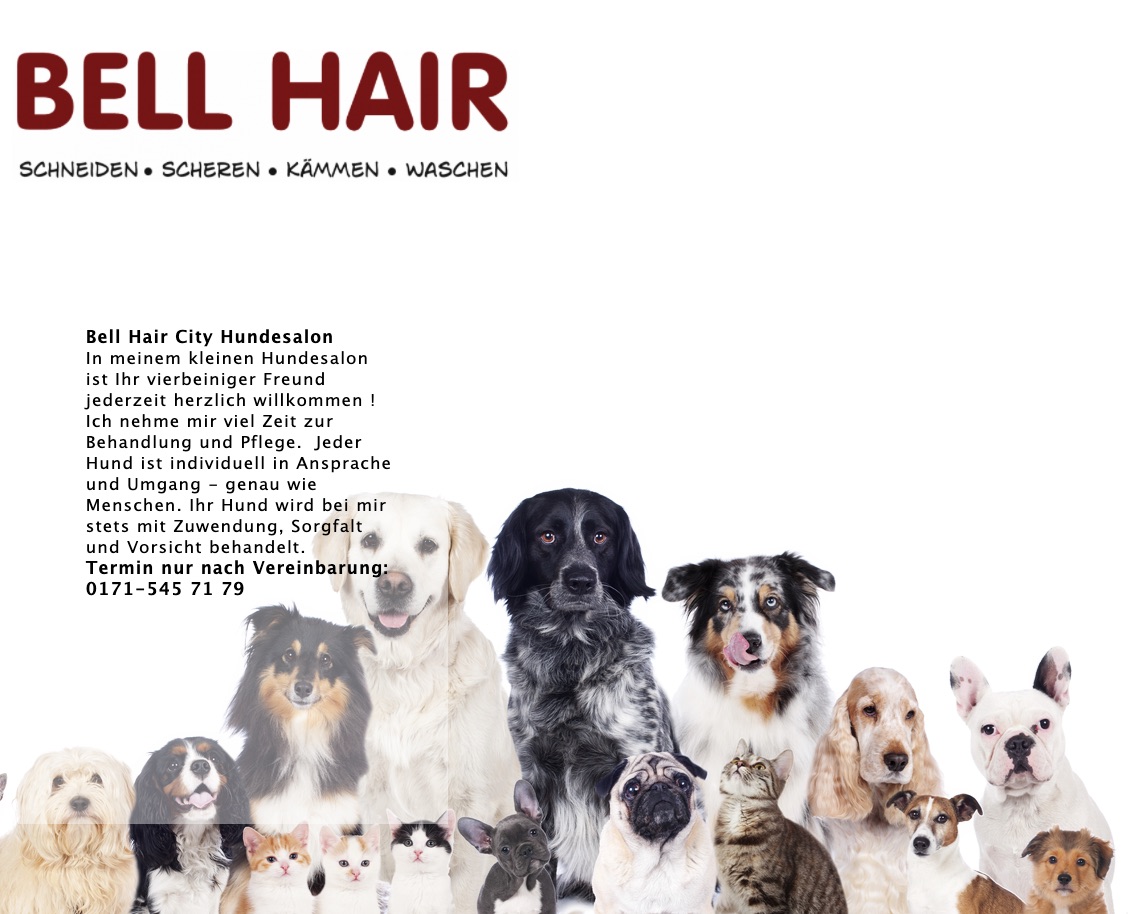 Hundesalon Bell Hair in Groß-Umstadt