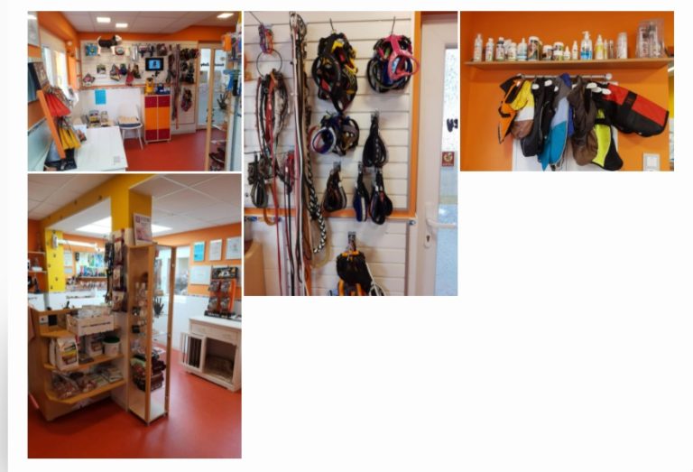 Hundesalon Lucky in Höchst im Odenwald 2 hundesalon lucky doggy shop 768x523