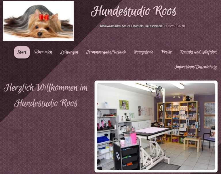 hundestudio roos eisenfeld 768x603