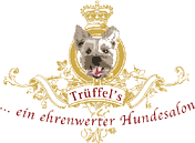 logo trueffels