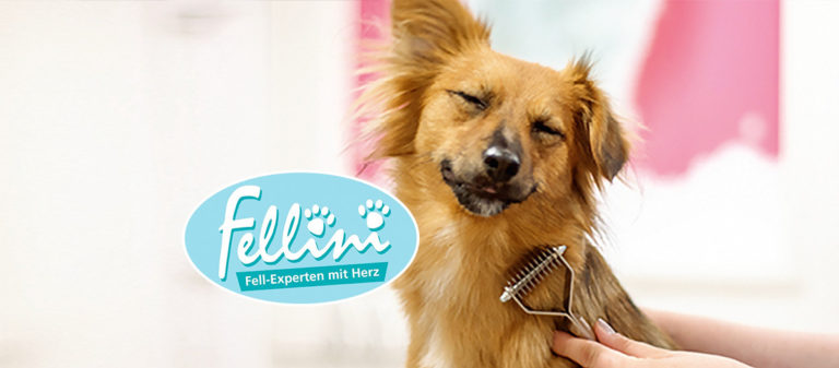 Fellini Hundesalon Düsseldorf-Lohausen 3 teaser fellini 1200x527 1 768x337