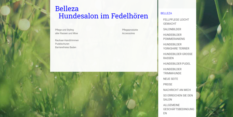 2021 11 05 14 16 48 Belleza Hundesalon im Fedelhoeren Belleza Hundesalon Bremen and 3 more pages  768x386