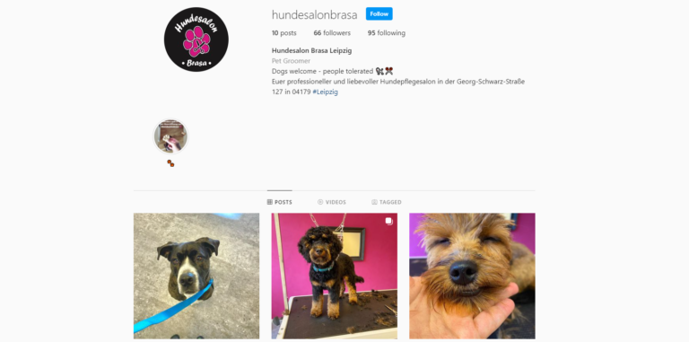 2021 11 16 00 07 24 Hundesalon Brasa Leipzig @hundesalonbrasa • Instagram photos and videos and 4  768x381