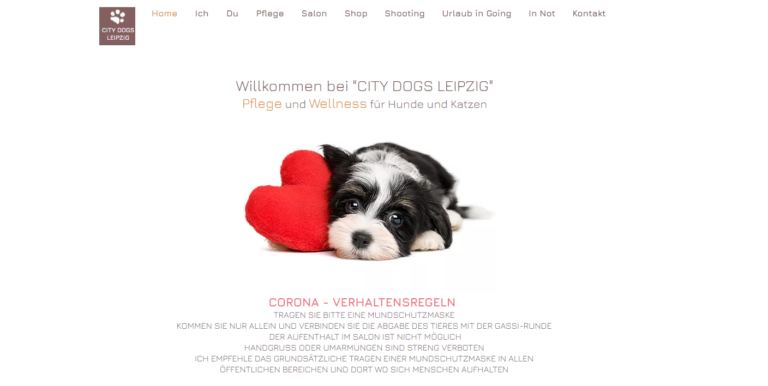 2021 11 16 00 51 36 City Dogs Leipzig Tierpflege Wellnes fuer Hunde Katzen in Leipzig and 3 more 768x386