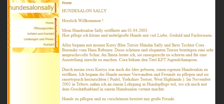 2021 11 16 12 57 06 hundesalonsally Home and 3 more pages Personal Microsoft​ Edge 768x359