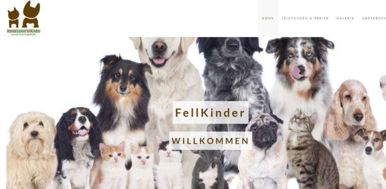 2021 11 17 16 36 17 HundeSalon FellKinder Dresden wo es euch gefellt... and 3 more pages Persona 768x376