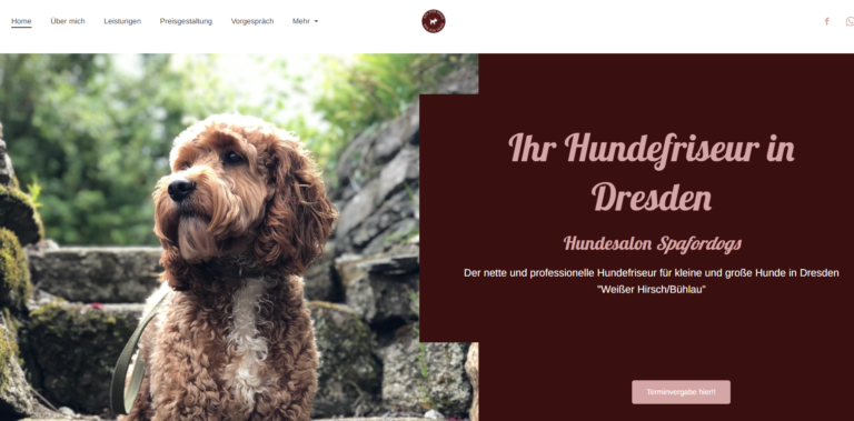 2021 11 17 16 50 24 Hundefriseur Dresden Weisser Hirsch   Hundesalon and 2 more pages Personal Mi 768x379