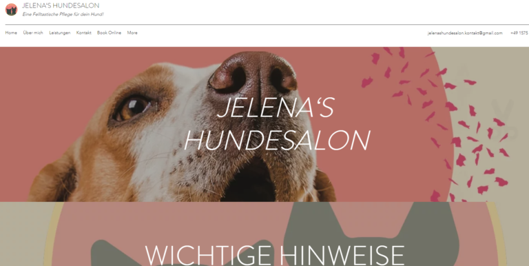 2021 11 26 21 50 55 Hunde und Katzenfriseur   Jelena‘s Hundesalon   Muenchen and 3 more pages Perso 768x386