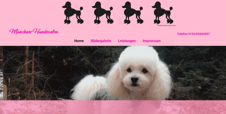 2021 11 26 23 20 47 Muenchner Hundesalon and 3 more pages Personal Microsoft​ Edge 768x387