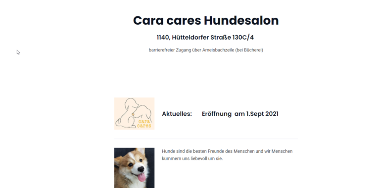 2021 11 29 22 32 01 Home   cara cares Hundesalon and 4 more pages Personal Microsoft​ Edge 768x380