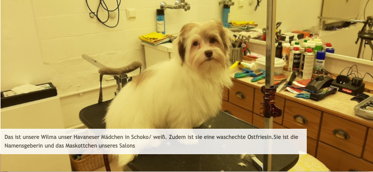 Hundesalon Wilma in Oberhausen