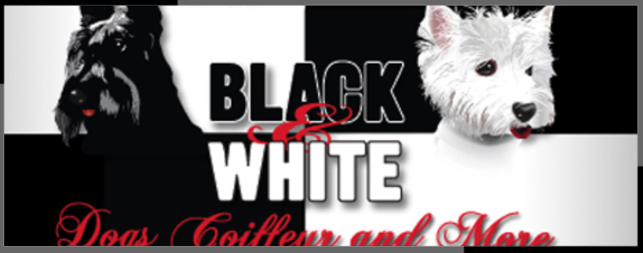 Hundesalon Black und White in Berlin