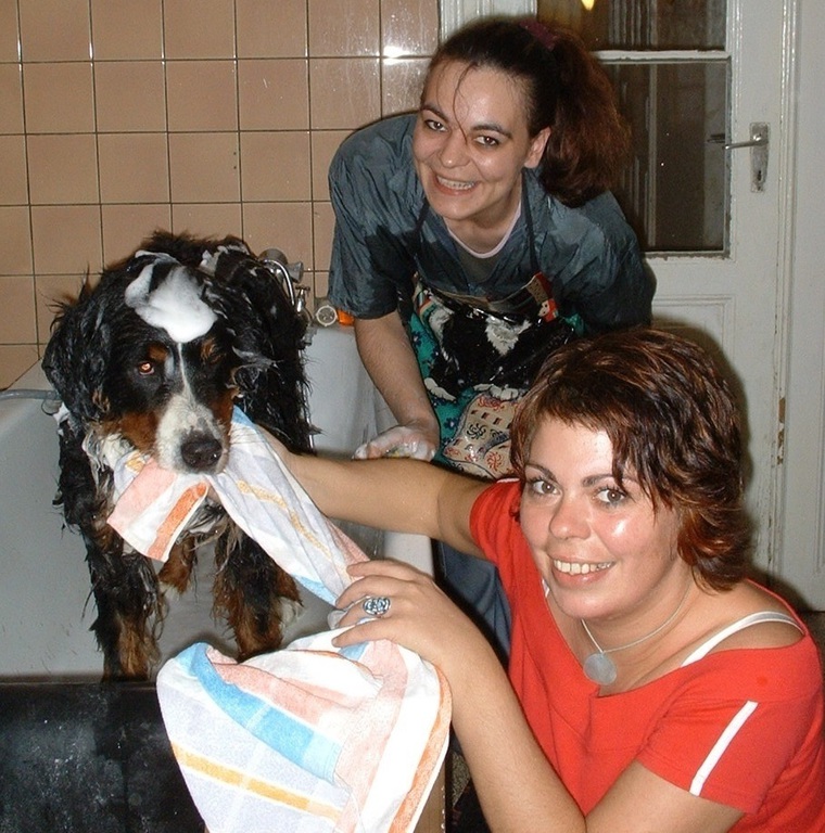 Hundesalon Hundepflege in Bremer