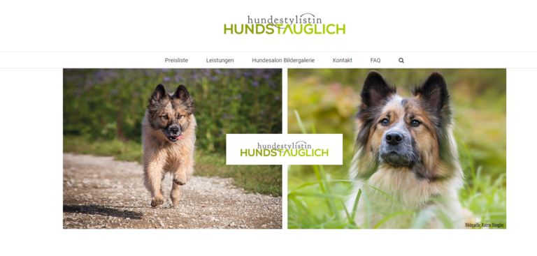 2021 12 01 13 16 39 Hundestylist Hundstauglich – Top Hundefriseur in Behamberg bei Steyr 768x367