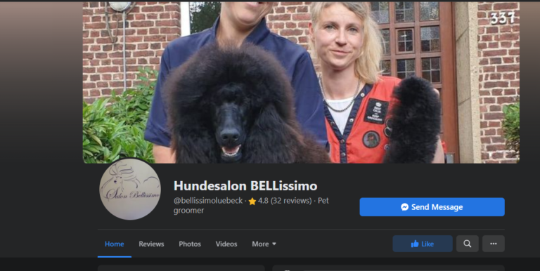 2021 12 06 21 15 58 9 Hundesalon BELLissimo   Facebook and 2 more pages Personal Microsoft​ Ed 768x386
