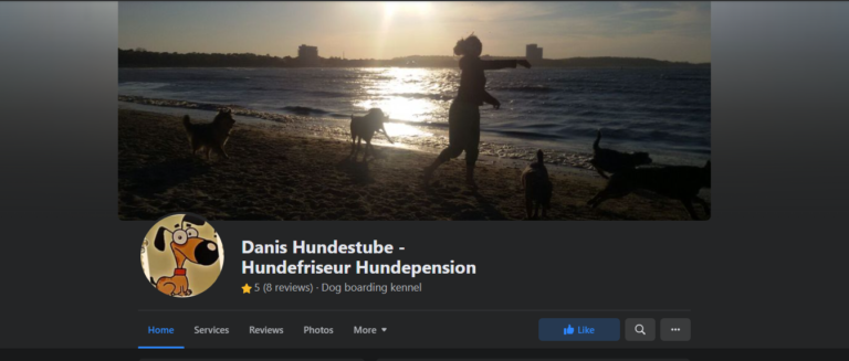 2021 12 06 21 21 11 9 Danis Hundestube Hundefriseur Hundepension   Facebook and 2 more pages P 768x327