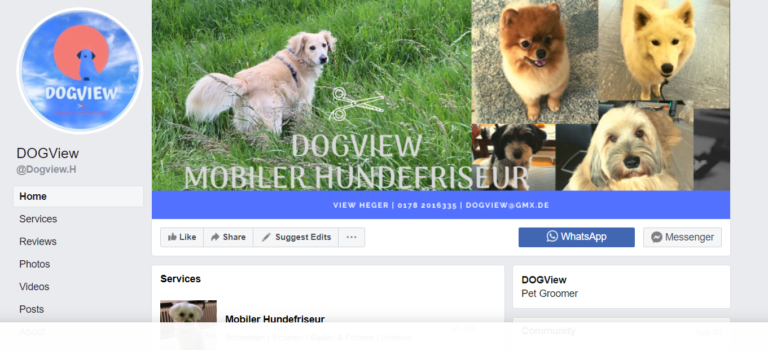 2021 12 10 16 41 51 DOGView Home   Facebook 768x350