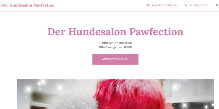 2021 12 14 22 02 55 Der Hundesalon Pawfection Tierfriseur in Remscheid 768x383