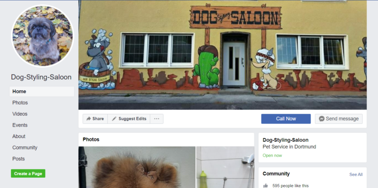 2021 12 15 14 42 19 Dog Styling Saloon Home   Facebook 768x383