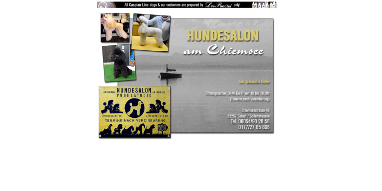 2021 12 18 20 02 26 Hundesalon am Chiemsee and 2 more pages Personal Microsoft​ Edge 768x384