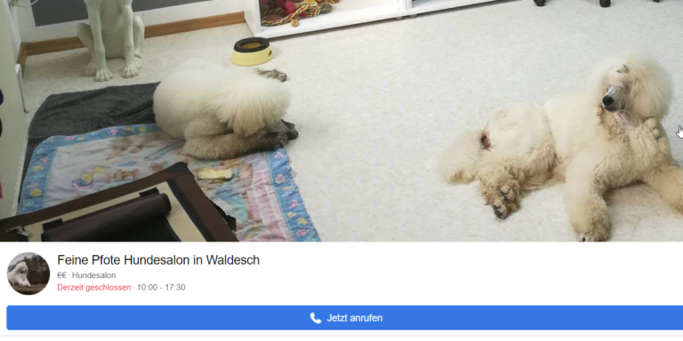 2021 12 21 17 32 20 Feine Pfote Hundesalon in Waldesch Startseite   Facebook 768x384