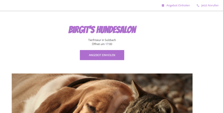 2021 12 22 10 09 44 Birgits Hundesalon Tierfriseur in Sulzbach 768x389