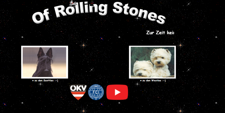 2021 12 23 13 36 00 Liebhaberhundezucht  Of Rolling Stones  West Highland White Terrier Rassehunde 768x386