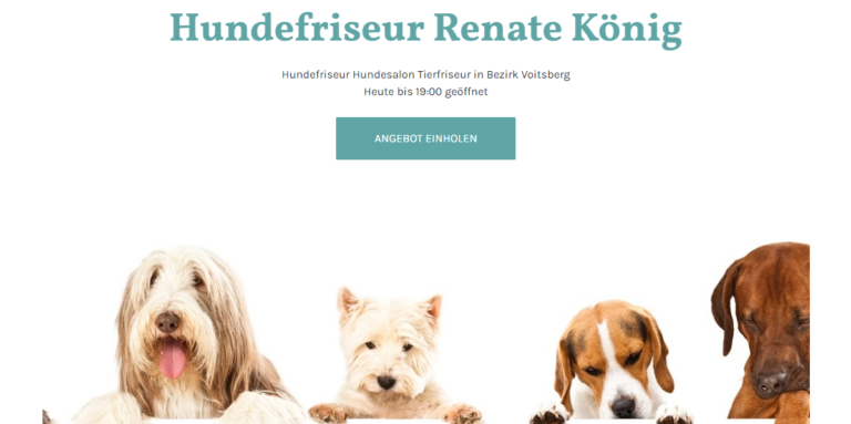 2021 12 23 13 39 27 Hundefriseur Renate Koenig Hundefriseur Hundesalon Tierfriseur in Bezirk Voitsb 768x383