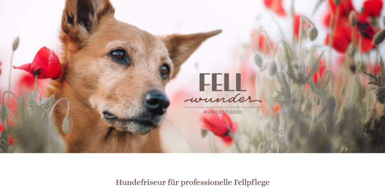 2021 12 23 15 57 24 Fellwunder   Hundefriseur fuer professionelle Fellpflege bei Hunden 768x382