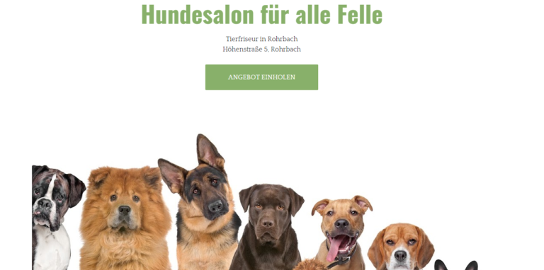 2021 12 23 16 37 42 Hundesalon fuer alle Felle Tierfriseur in Rohrbach 768x382