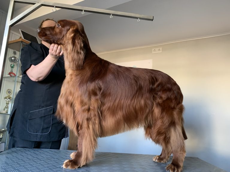 Ney bei Emmelshausen bzw. Koblenz 3 67CB0501 1BFA 489C AC2F 3CF6D510FA03 768x576