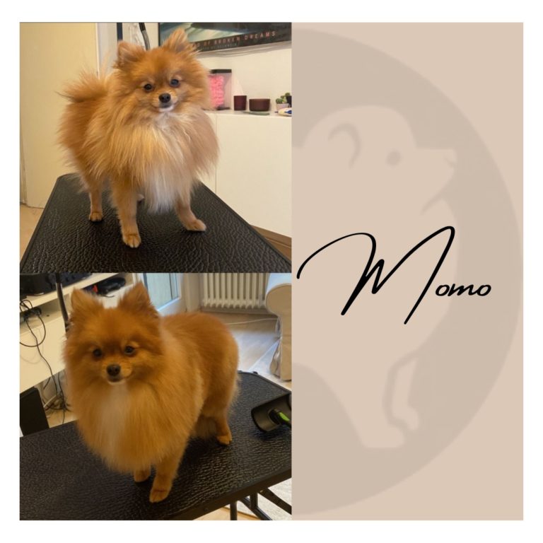 973CF600 69A4 4ADB 8E36 5B373CFA0B9C 768x768