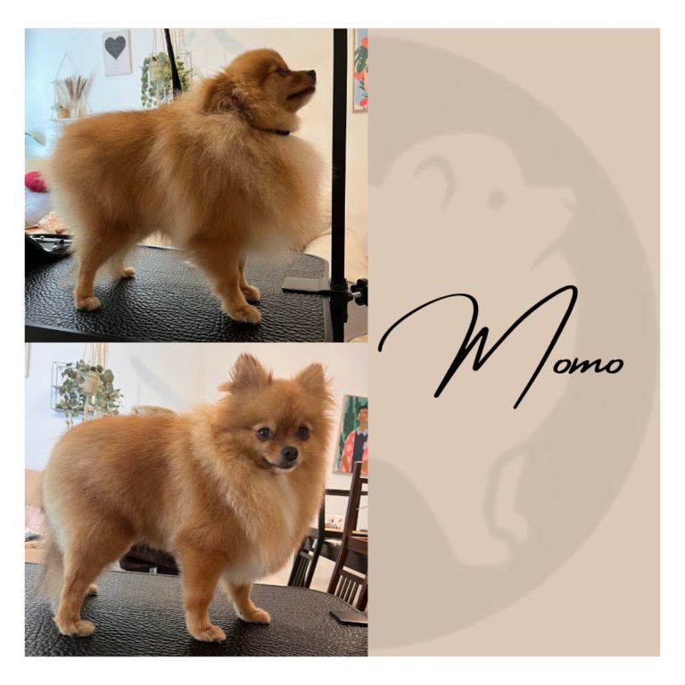 C7E7A89C 1D0A 4AF5 A1D4 148A574BCD88 768x768