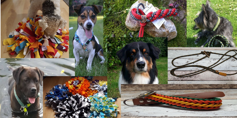 Pfoten-Mode Für Persönlichkeiten auf 4-Pfoten 2 Hunde 768x384