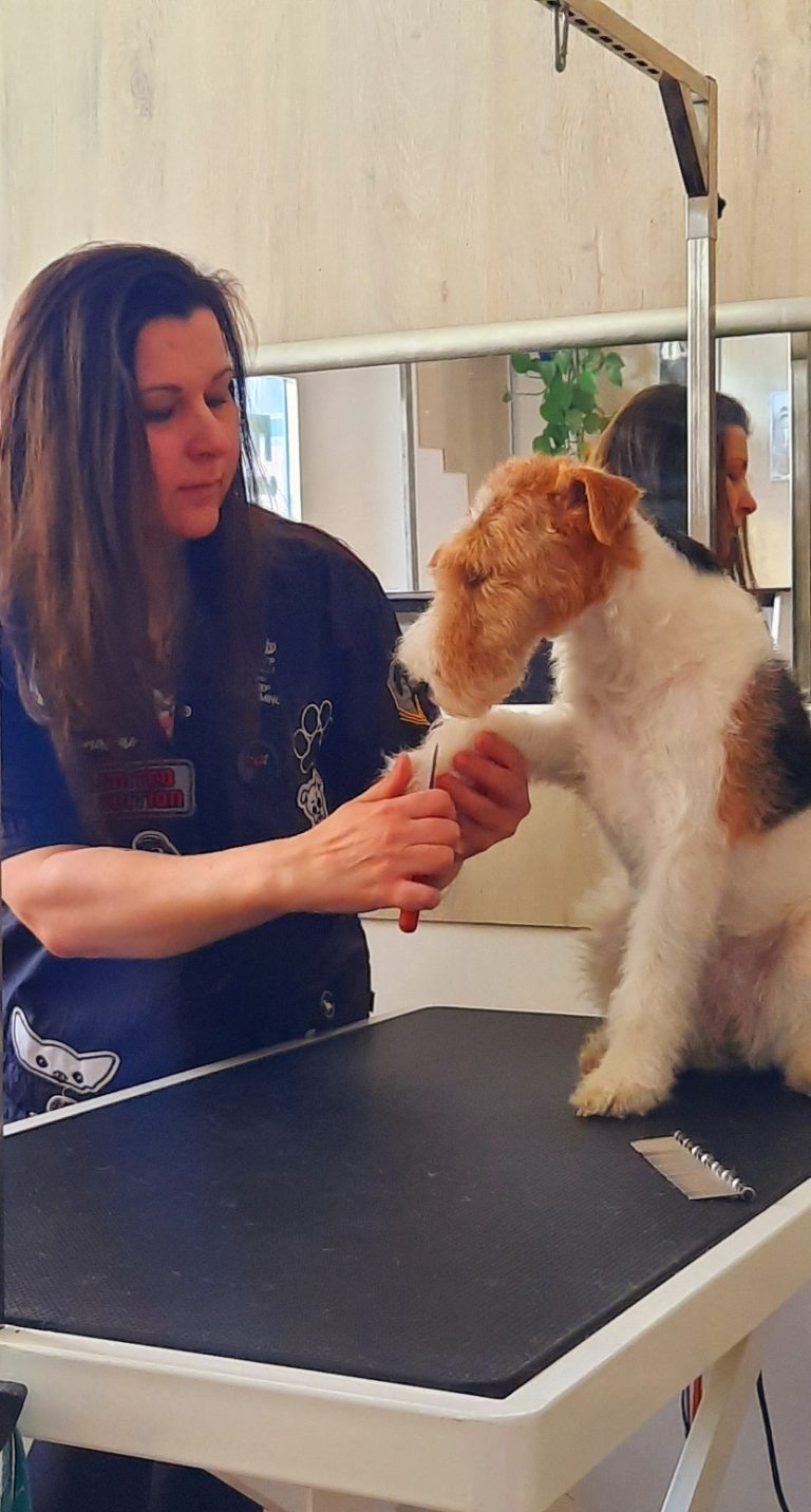 20230110 124522 768x1432