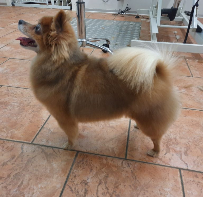 20230204 111128 768x748