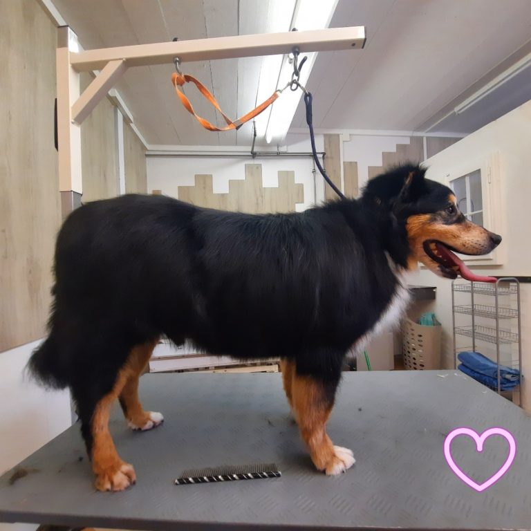 20230327 174311 768x768