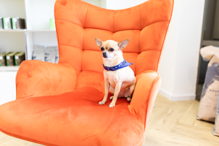 Bildschirm­foto 2023 06 24 um 19.33.21 768x512