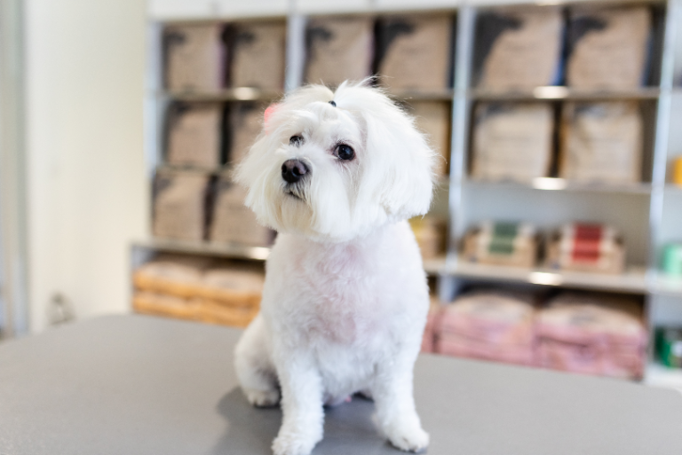 Bildschirm­foto 2023 06 24 um 19.34.03 768x513