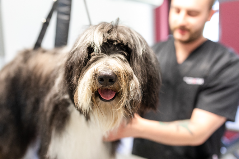 Bildschirm­foto 2023 06 24 um 19.34.16 768x511