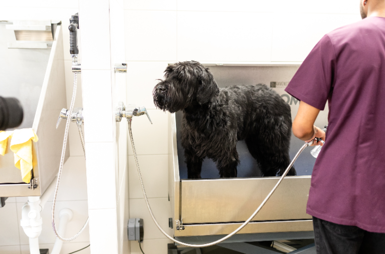 Bildschirm­foto 2023 06 24 um 19.34.32 768x507