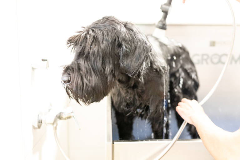 Bildschirm­foto 2023 06 24 um 19.34.44 768x513