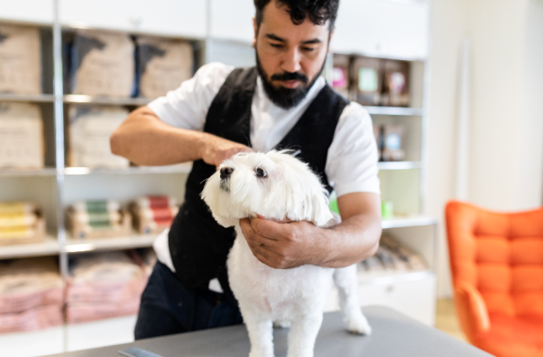 Bildschirm­foto 2023 06 24 um 19.51.10 768x506