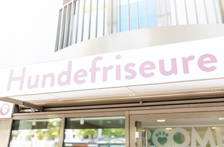 Bildschirm­foto 2023 06 24 um 19.52.34 768x506